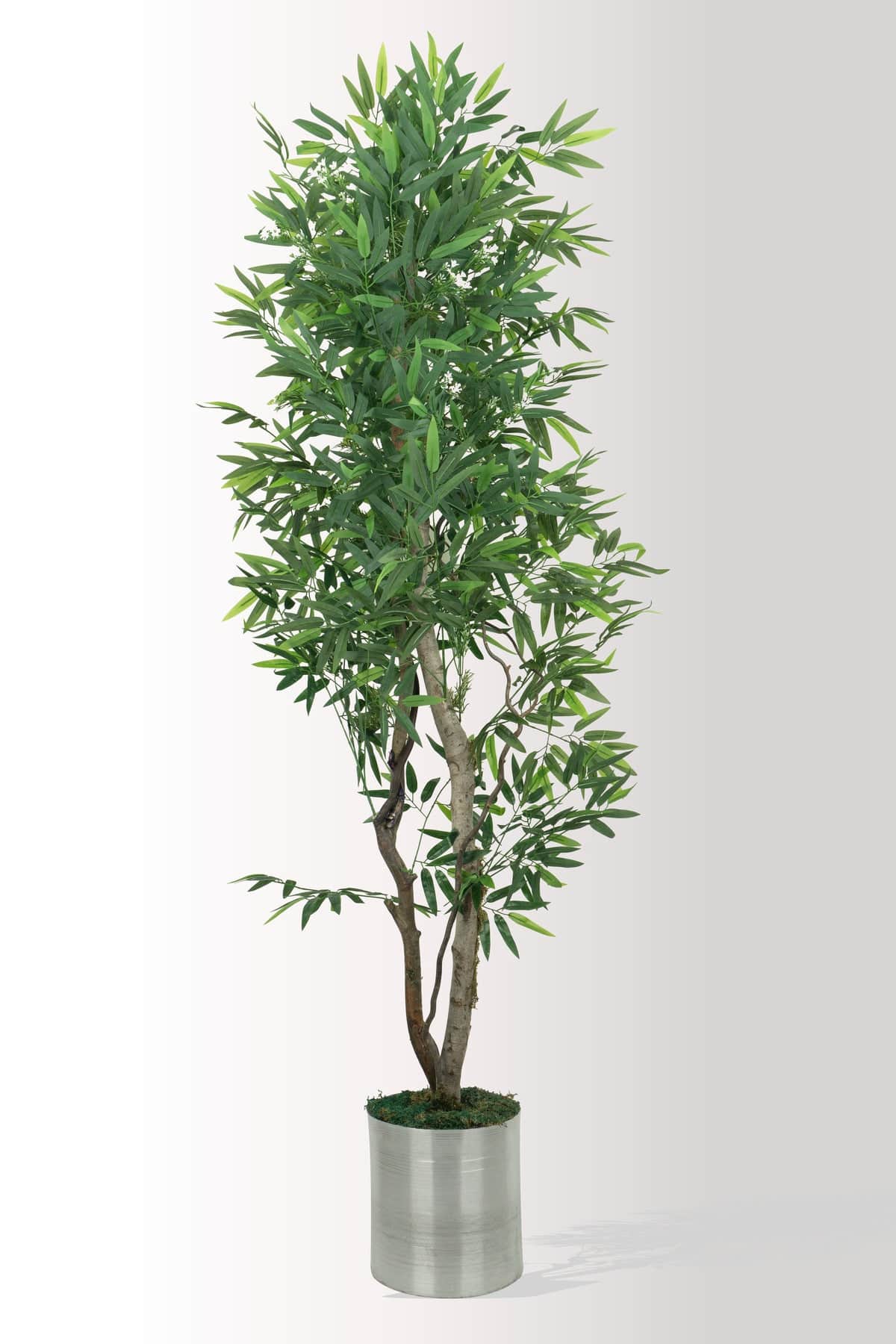 180 cm Yapay Bambu / Dar Yapraklı Ağaç - Gerçekçi Gövde - Metal Saksılı Ev Dekoru