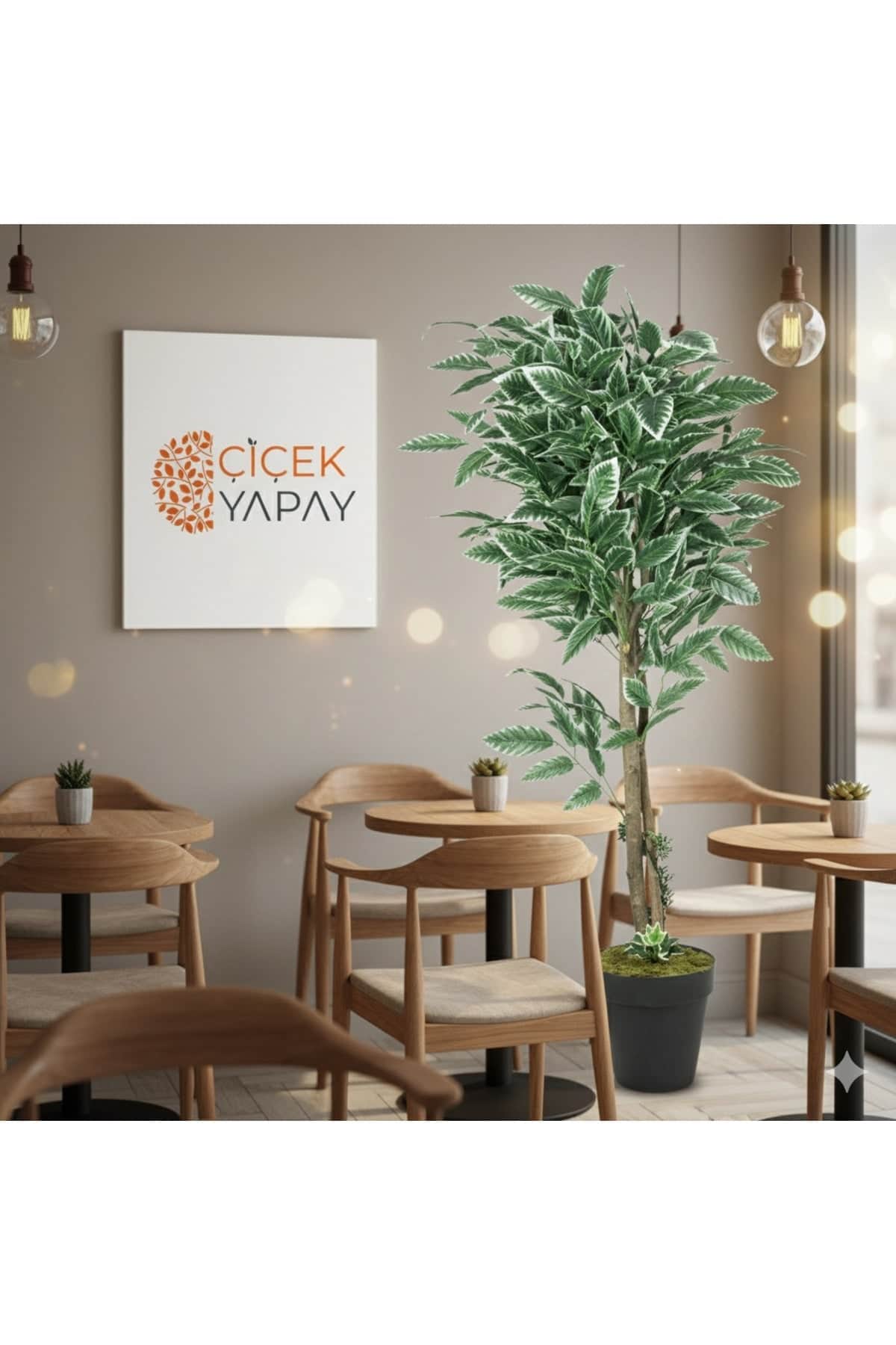 Yapay Areka Palmiyesi