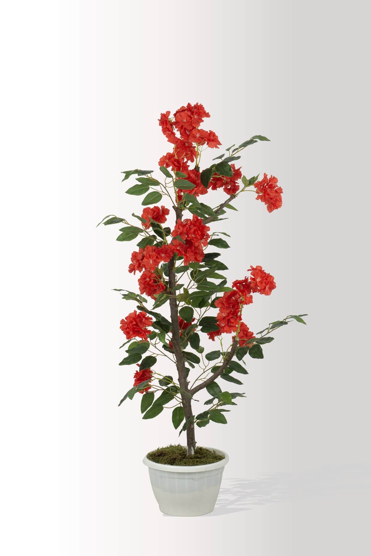 Yapay Beyaz Saksıda Kırmızı Sakura Benjamin