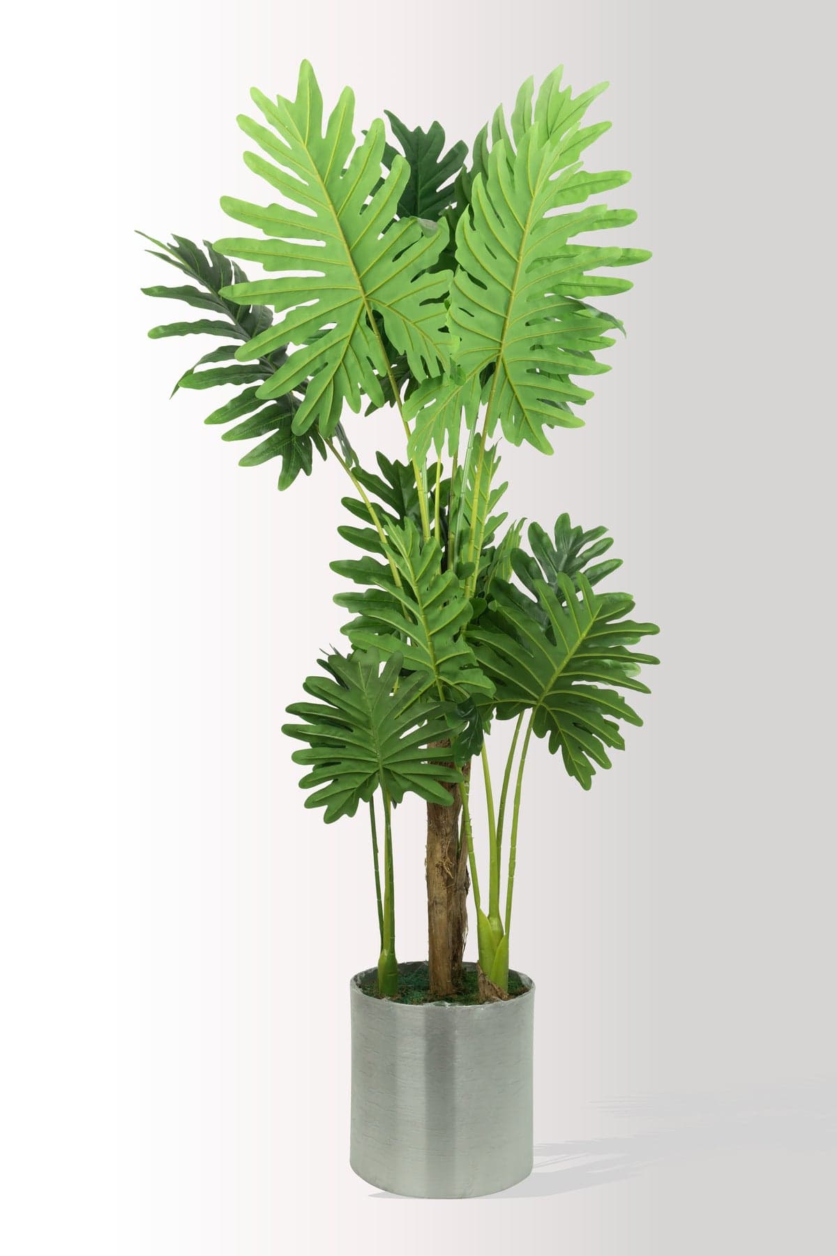 180 cm Yapay Dev Yapraklı Tropikal Ağaç - Gerçekçi Philodendron Seloum - Salon & Ofis