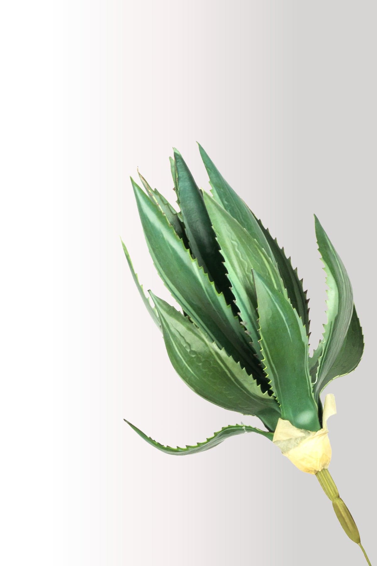 Yapay Kaktüs Agave Bitkisi 40 cm | Saksılı Dekoratif Yapay Çiçek