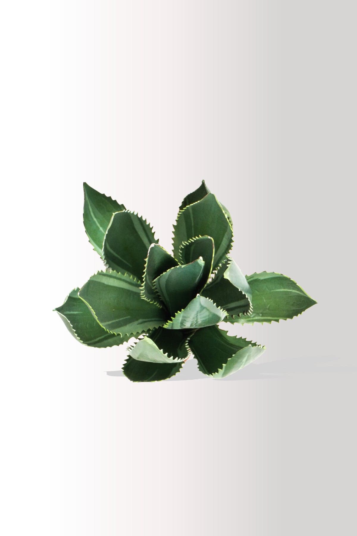 Yapay Kaktüs Agave Bitkisi 40 cm | Saksılı Dekoratif Yapay Çiçek