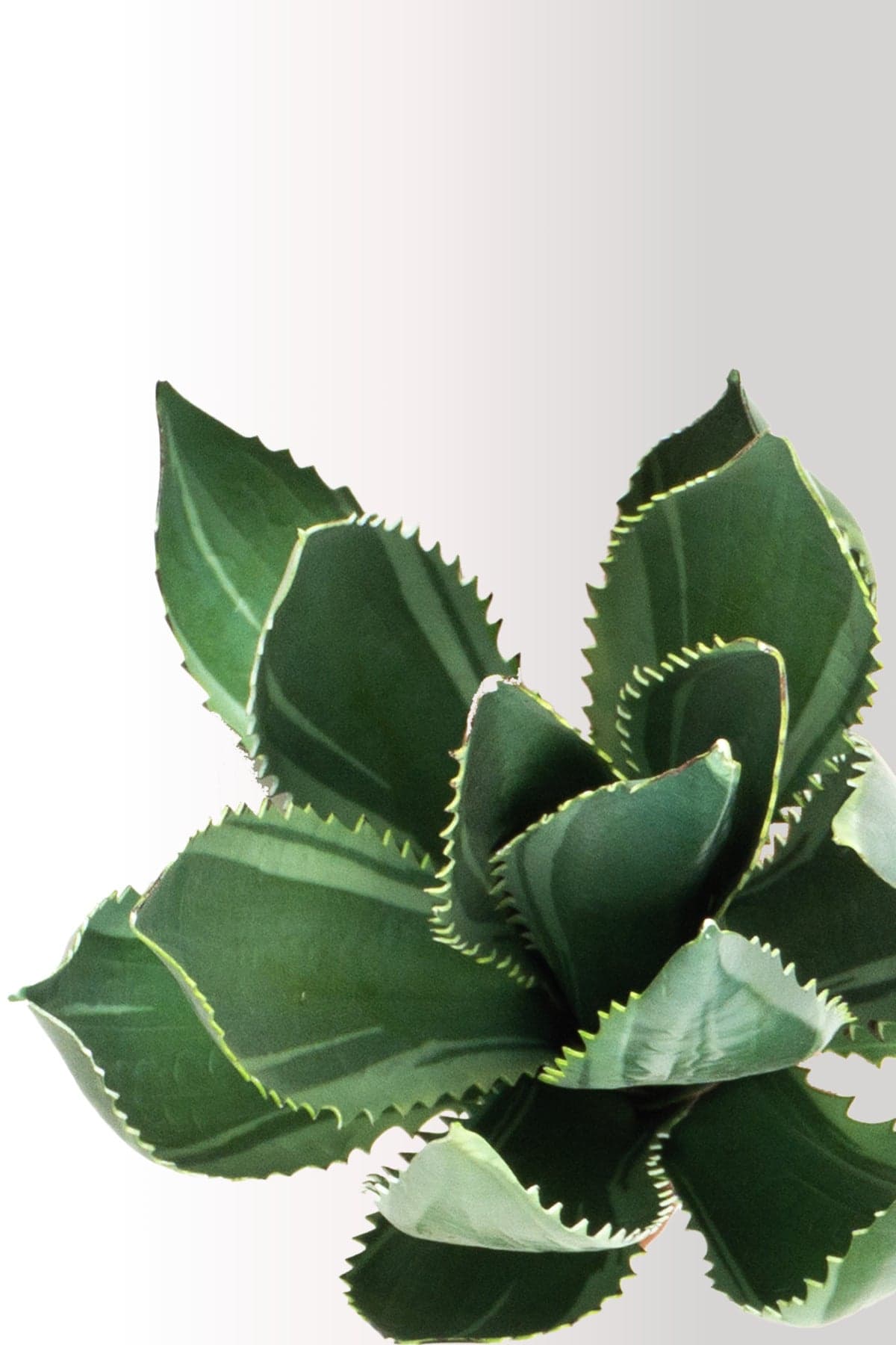 Yapay Kaktüs Agave Bitkisi 40 cm | Saksılı Dekoratif Yapay Çiçek