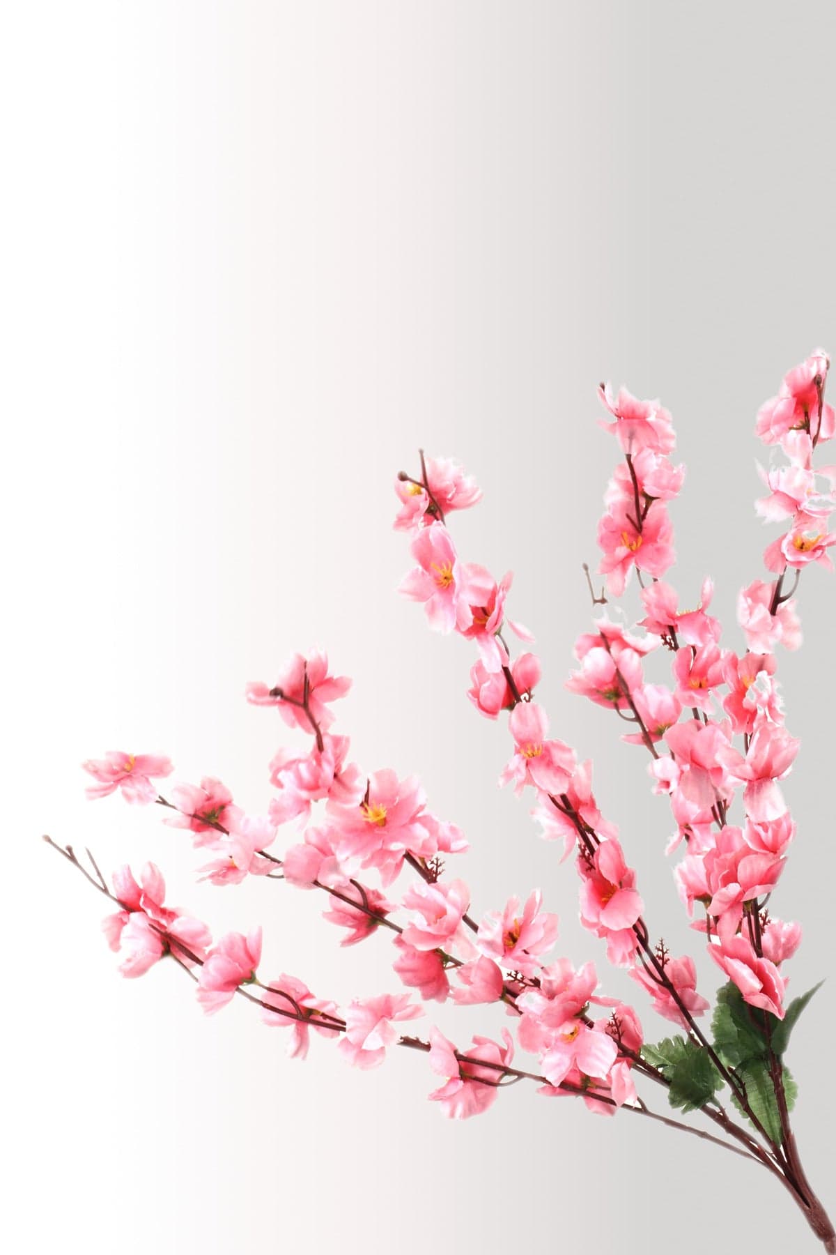 Yapay Pembe Bahar Dalı | 55 CM 7 Dallı
