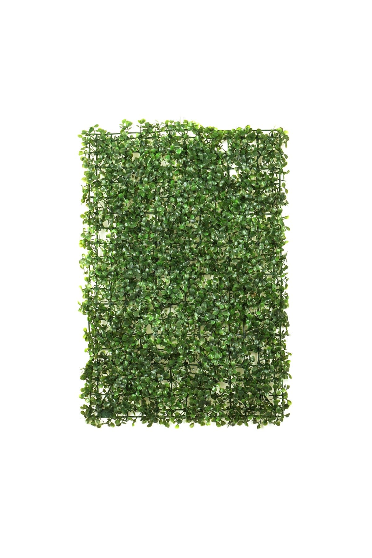 Yapay Şimşir Duvar Paneli | Dekoratif Panel 40x60